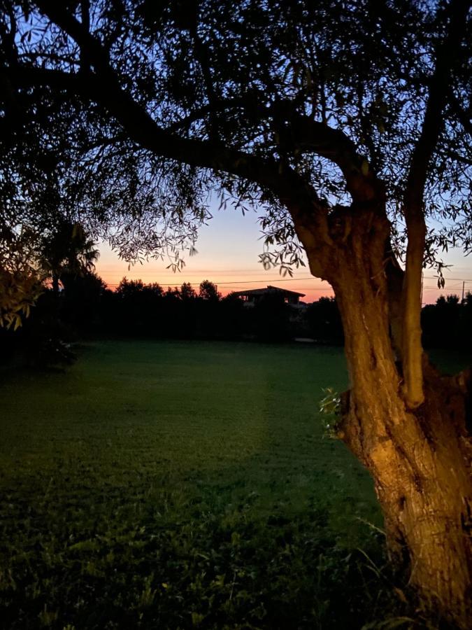 Villa Sarda Assemini Exteriör bild